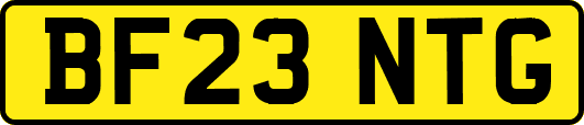 BF23NTG