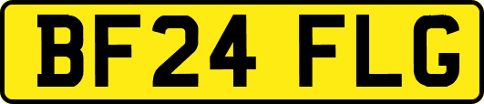 BF24FLG