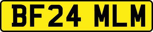 BF24MLM
