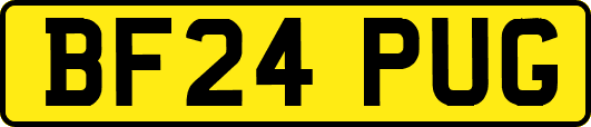 BF24PUG