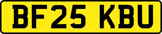BF25KBU