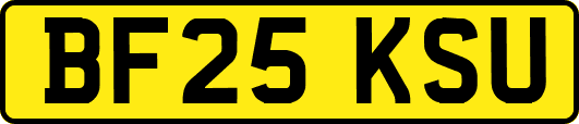 BF25KSU