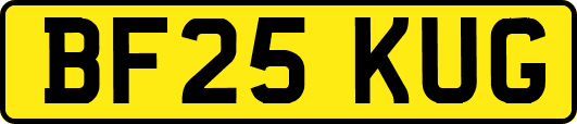 BF25KUG