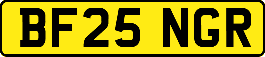 BF25NGR