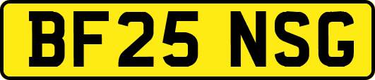 BF25NSG