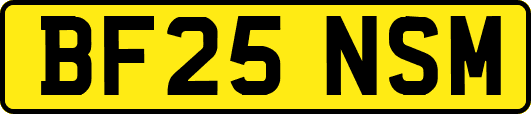 BF25NSM