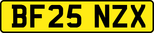 BF25NZX