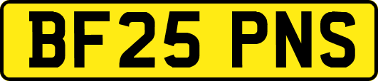 BF25PNS