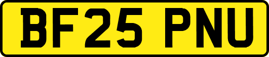 BF25PNU
