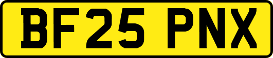 BF25PNX