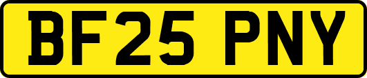 BF25PNY