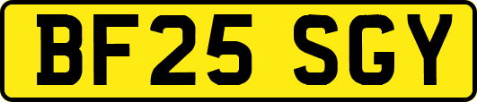 BF25SGY