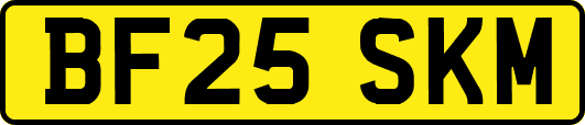 BF25SKM