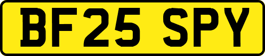 BF25SPY