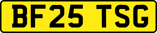 BF25TSG