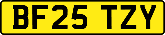 BF25TZY