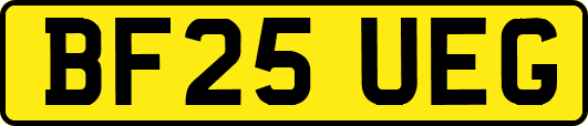 BF25UEG