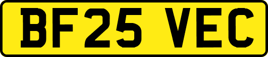 BF25VEC