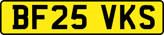 BF25VKS