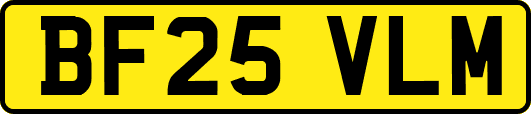BF25VLM