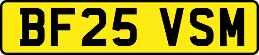BF25VSM