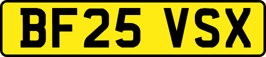 BF25VSX
