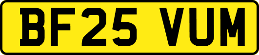 BF25VUM