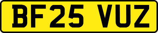 BF25VUZ
