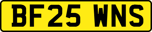 BF25WNS