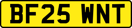 BF25WNT
