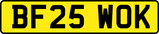 BF25WOK