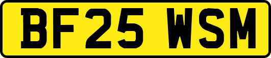 BF25WSM