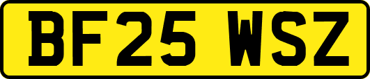 BF25WSZ