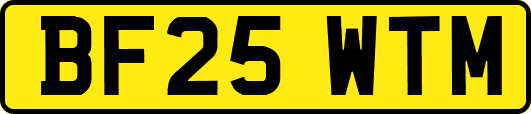 BF25WTM