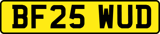 BF25WUD