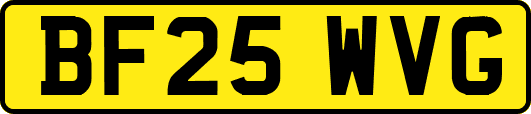 BF25WVG