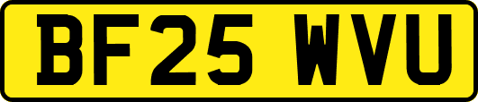 BF25WVU