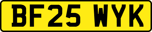 BF25WYK