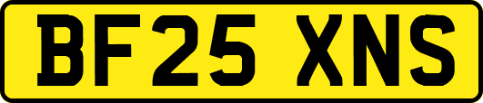 BF25XNS