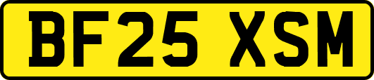BF25XSM