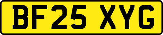 BF25XYG