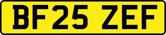 BF25ZEF