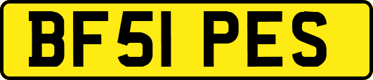 BF51PES