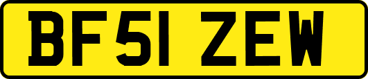 BF51ZEW