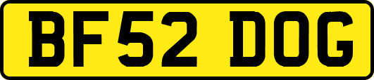 BF52DOG