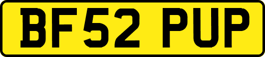 BF52PUP