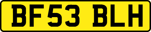 BF53BLH