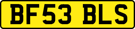 BF53BLS