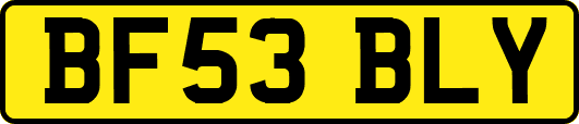 BF53BLY