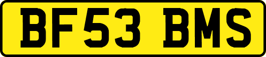 BF53BMS